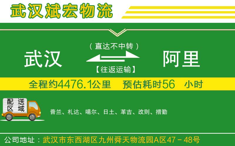 武漢到阿里貨運公司