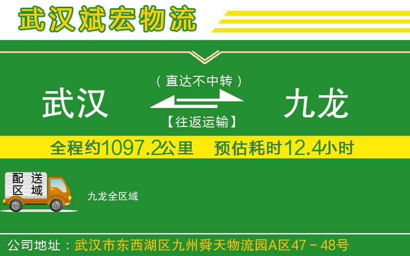 武漢到九龍物流專(zhuān)線(xiàn)