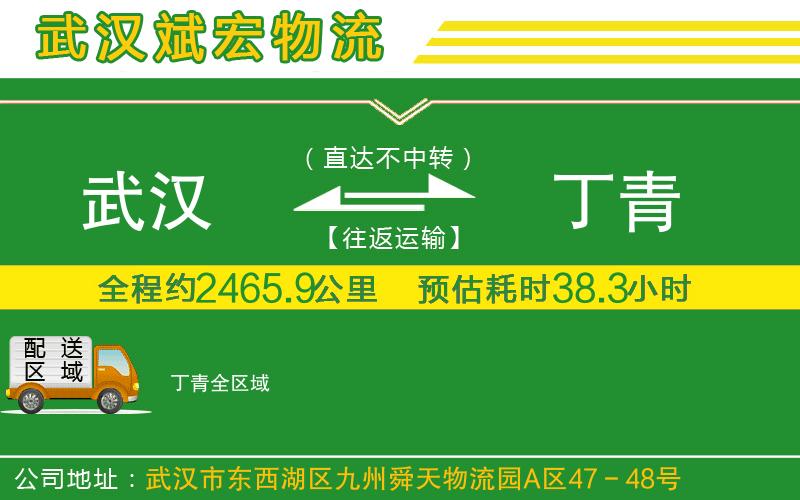 武漢到丁青貨運公司